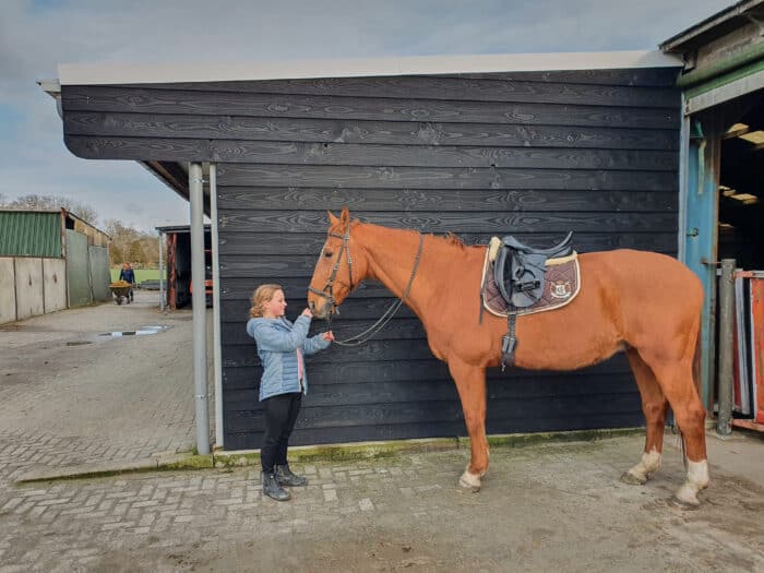 Krachtcel Maak leven Verborgen Houten paardenstal geverfd met Vasa Svart - Matte houtverf uit Zweden Moose  Färg